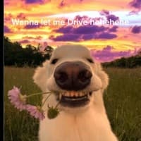 adamthecreek