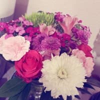 Alia_saeed309