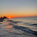 Lindsey Yanko 