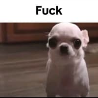 Anonymous Slander