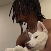 409sosa