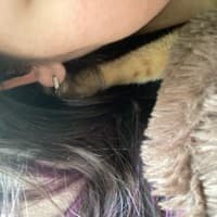 bunnyy11