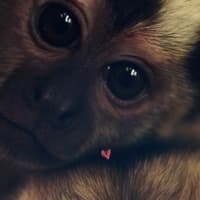Antho 💞🕷️