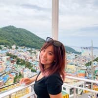 nicolecheng7603