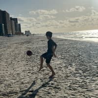 alex schene