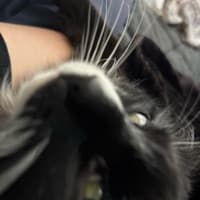 jjot