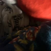 alexsid