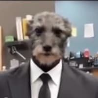 Ben M